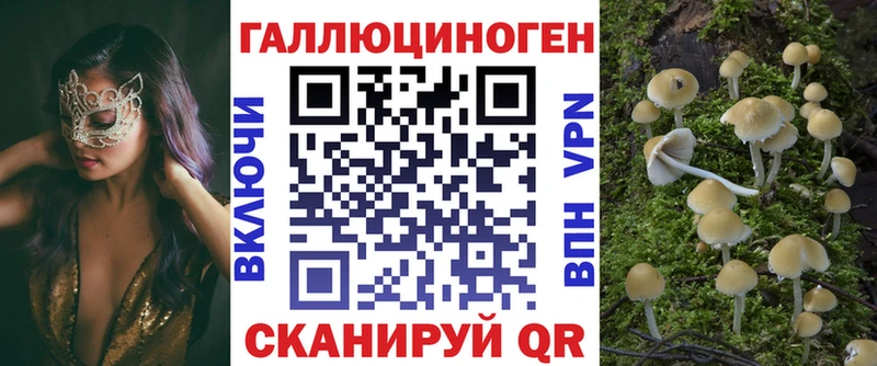 как найти закладки Белая Калитва Псилоцибиновые грибы Psilocybine cubensis